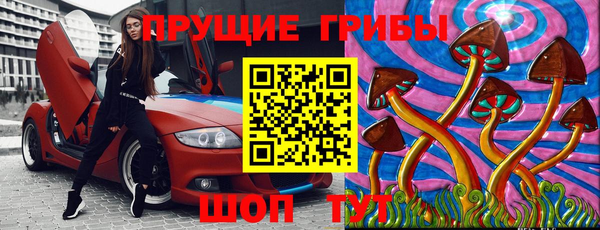 Псилоцибиновые грибы Psilocybe Апатиты