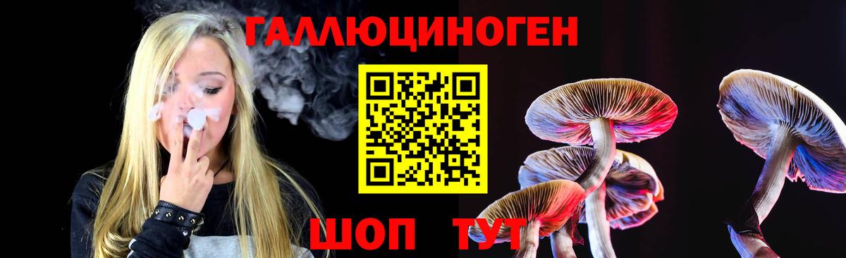 где купить наркоту  Вход с VPN  Галлюциногенные грибы Psilocybine cubensis  Апатиты  Псилоцибиновые грибы MAGIC MUSHROOMS 